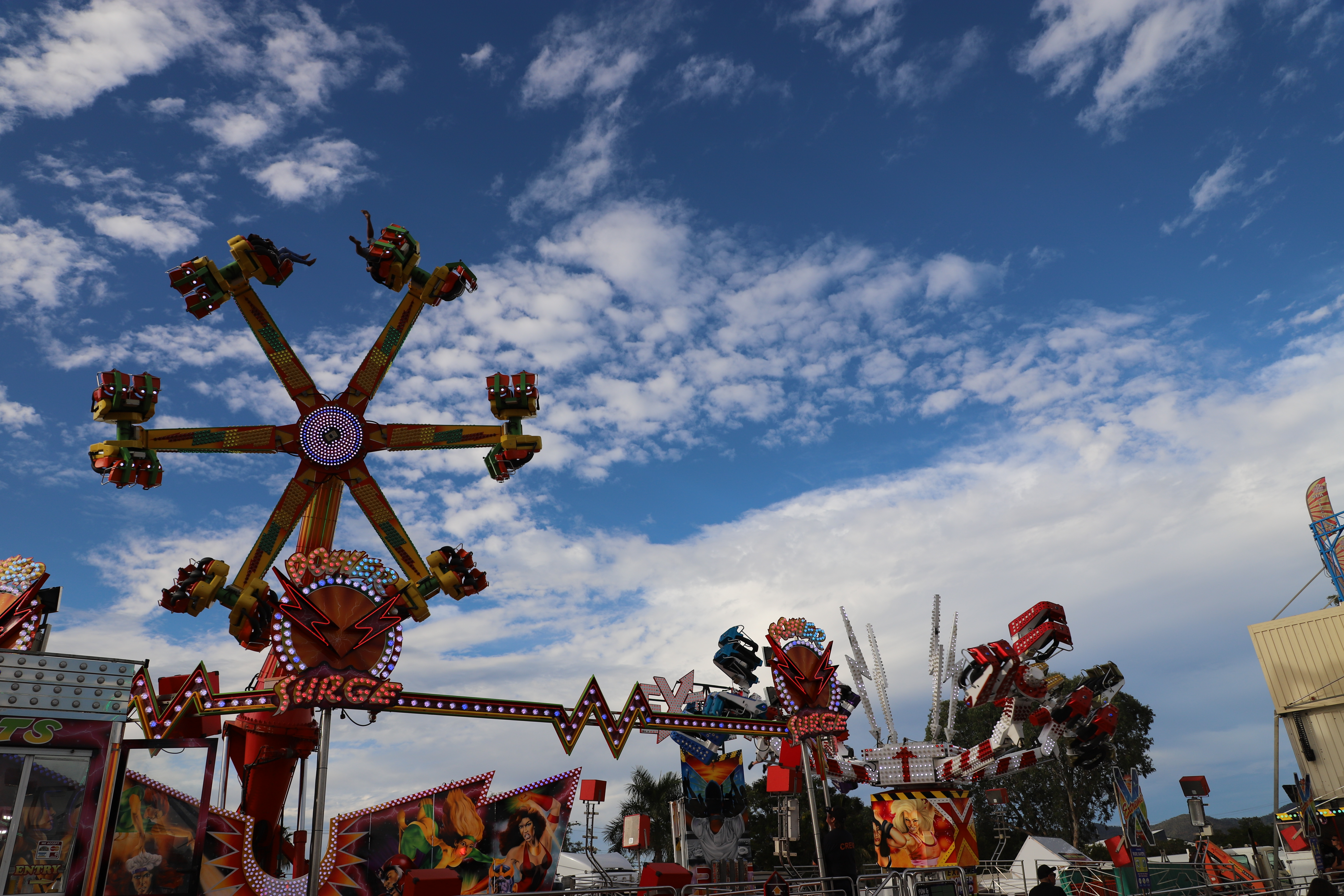 Champion Turnout at Rocky Show Rockhampton Show